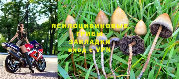 МДПВ Остров